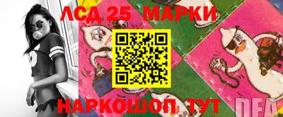 индика Моздок