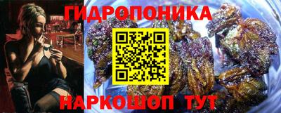 индика Моздок