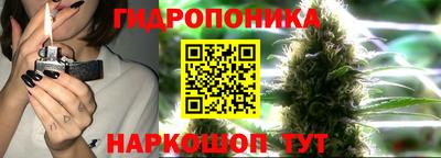 каннабис Малгобек