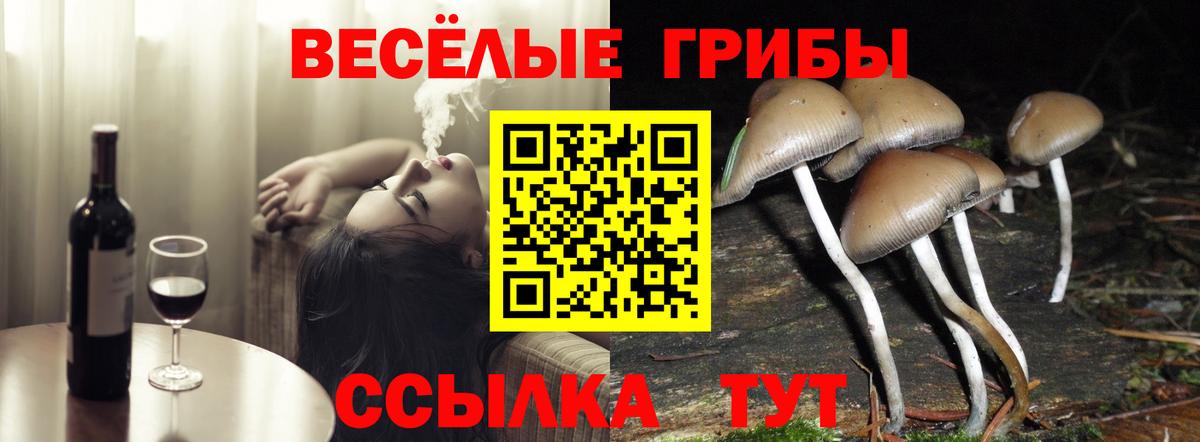 Галлюциногенные грибы мицелий  Вход с VPN  Псилоцибиновые грибы Cubensis  Бузулук 